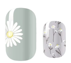 White Daisy Days-1